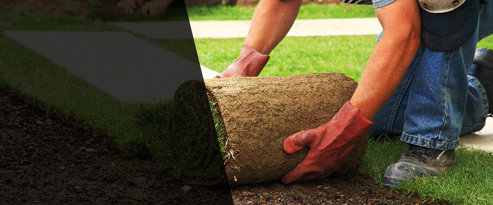 Woodville Landscapers